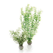 Indlæs billede til gallerivisning biOrb Vinter blomster i grøn/hvid. Sæt á 2 stk. Dimensioner (LxBxH i mm) 100x37x300. 46067