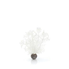 Indlæs billede til gallerivisning biOrb Hornkoral i hvid. SMALL. Designet af Samuel Baker. Dimensioner (LxBxH i mm) 120x37x200. 46068