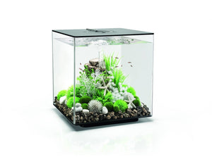 biorb cube collection akvarie 30 l. i sort black. Dekoreret med grønne og hvide farver, samt 8 små fisk. LED 72017 MCR 72020