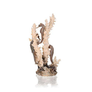 biOrb Søheste på koral ornament. MEDIUM. Designet af Samuel Baker. Dimension: (LxBxH i mm) 135x130x268. 55039