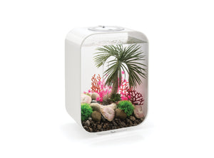 biOrb LIFE 15 l. i hvid. Dekoreret med palme ornament, røde koraller, grønne plante kugler, lyserøde skive koraller og belagte sten i sand. 72049 72052