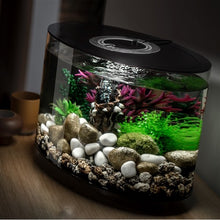 Indlæs billede til gallerivisning biOrb LOOP Kollektion