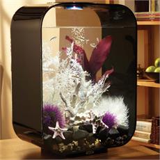 biOrb LIFE 15 l. i sort. Dekoreret med stenkoral ornament, mørkerød plante, hvide koraller og lilla og hvid tilbehør. Samt fisk. 72048 72051