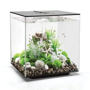 biorb cube collection akvarie 30 l. i sort black. Dekoreret med grønne og hvide farver, samt 8 små fisk. LED 72017 MCR 72020