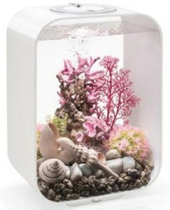 biOrb Koralrev ornament i lyserød. MEDIUM. Står dekoreret i en biOrb LIFE 45 l. i hvid 46130 72058