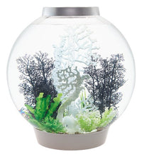 Indlæs billede til gallerivisning biOrb viftekoral i hvid LARGE står i en CLASSIC 60 l. i hvid. Dekoreret med sorte koraller og grønne planter. 72013 72016