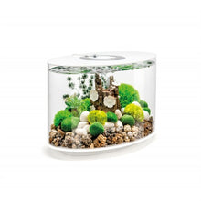 Indlæs billede til gallerivisning biOrb LOOP Kollektion