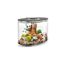 Indlæs billede til gallerivisning biOrb LOOP Kollektion