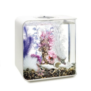 biOrb Koralrev ornament i lyserød. MEDIUM. står dekoreret i en biOrb FLOW 15 l i hvid. 46130 72034 72036