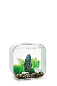 biOrb dekorationssæt sten have 30 l. Alt i én pakke. i farverne grå, grøn og hvid. vist i biOrb Life akvarie hvid 30 l. 48445