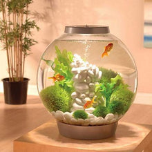 Indlæs billede til gallerivisning biOrb Sten ﻿ornament i hvid. SMALL, står dekoreret i en biOrb CLASSIC 15 l. i grå. 46110
