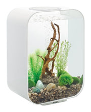 Indlæs billede til gallerivisning biorb moorwood trærod ornament setup i life akvarie 15 l. 46127