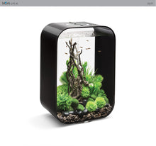 Indlæs billede til gallerivisning biOrb LIFE 60 l. i sort. Dekoreret med træ ornament, grønne planter, mosbelagte og sorte pyntesten, samt fisk. 72060