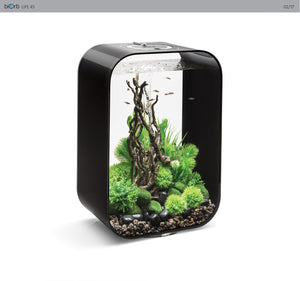 biOrb LIFE 60 l. i sort. Dekoreret med træ ornament, grønne planter, mosbelagte og sorte pyntesten, samt fisk. 72060