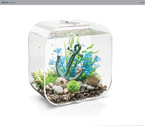 biOrb LIFE 30 l. i transparent. Dekoreret med anker ornament, blå koral, grønne planter, natur søpindsvin og hvide sten. 72053