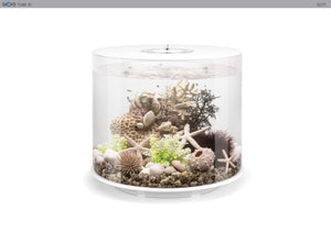 biOrb TUBE 35 l. i hvid. Dekoreret med koral med muslinge ornament, sort koral og havlilje, grønne planter, søpindsvin i natur og hvide pyntesten. Samt fisk. 72071 72073