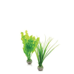 biOrb Easy planter i grøn. Sæt á 2 stk. SMALL. Dimensioner (LxBxH i mm) 80x35x200. 46055