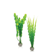 Indlæs billede til gallerivisning biOrb Easy planter i grøn. Sæt á 2 stk. MEDIUM. Dimensioner (LxBxH i mm) 90x37x300. 46056