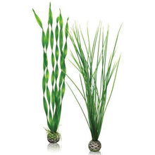Indlæs billede til gallerivisning biOrb Easy planter i grøn. Sæt á 2 stk. LARGE. Dimensioner (LxBxH i mm) 70x40x400. 46057