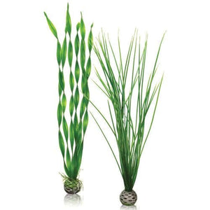 biOrb Easy planter i grøn. Sæt á 2 stk. LARGE. Dimensioner (LxBxH i mm) 70x40x400. 46057