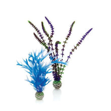 Indlæs billede til gallerivisning biOrb Planter i blå og lilla. Sæt á 2 stk. Dimensioner (LxBxH i mm) 100x35x200. 46059
