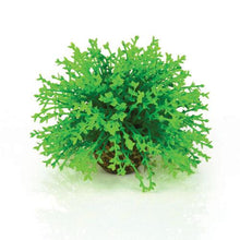 Indlæs billede til gallerivisning biOrb blomster bold i grøn. Designet af Samuel Baker. Dimensioner (LxBxH i mm) 110x110x80.. 46087