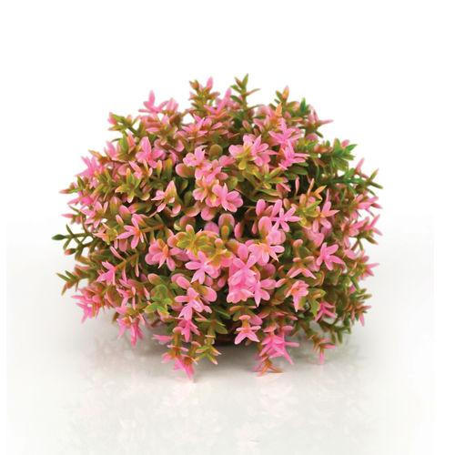 biOrb blomster bold i pink. Designet af Samuel Baker. Dimensioner (LxBxH i mm) 110x110x80. 46088