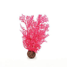 Indlæs billede til gallerivisning biOrb Hornkoral i pink. SMALL. Designet af Samuel Baker. Dimensioner (LxBxH i mm) 120x37x200. 46092