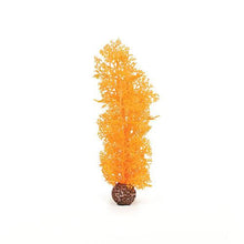 Indlæs billede til gallerivisning biOrb Hornkoral i orange. MEDIUM. Designet af Samuel Baker. Dimensioner (LxBxH i mm) 160x40x300. 46098