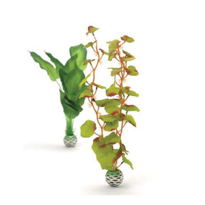 biOrb Silke planter i grøn. Sæt á 2 stk. MEDIUM. Designet af Samule Baker. Dimension: (LxBxH i mm) 120x37x300. 46100