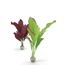 Indlæs billede til gallerivisning biOrb Silke planter i grøn &amp; lilla. sæt á 2 stk. MEDIUM. Designet af Samuel Baker. Dimension: (LxBxH i mm) 120x37x300. 46101