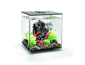 biorb cube collection akvarie 60 l sort black. Dekoreret i sorte, røde og grønne farver, samt 6 små fisk. LED 72023 MCR 72026