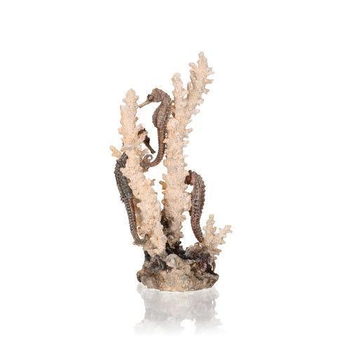 biOrb Søheste på koral ornament. MEDIUM. Designet af Samuel Baker. Dimension: (LxBxH i mm) 135x130x268. 55039