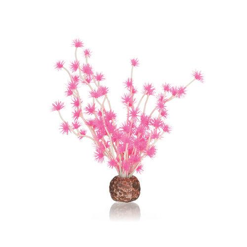 biOrb Bonsai busk i pink. Designet af Samuel Baker.  Dimensioner (LxBxH i mm) 130x70x180. 55067