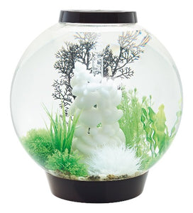 biOrb CLASSIC 30 l. i sort. Dekoreret med hvidt stenornament i MEDIUM, sort koral og grønne planter. 72008 72005