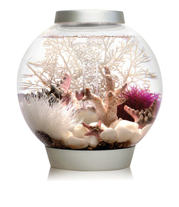 biOrb Classic 15 l. i hvid. Dekoreret med stenkoral i SMALL, pyntet med hvide koraller, havlilje og hvide pyntesten, samt en lilla plante kugle. 72001 72004