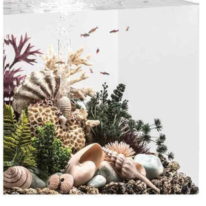 biOrb koral med muslinger ornament, ses med planter og koraller og pynt. 48360