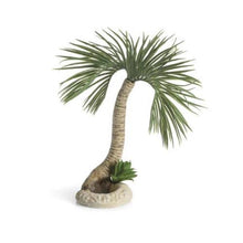 Indlæs billede til gallerivisning biOrb Palm tree Seychelles-Palmetræ Seychellerne ornament Large. Skabt af Samuel Baker. Dimension: (LxBxH i mm) 250x260x290. 72680