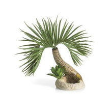 Indlæs billede til gallerivisning biOrb palm tree seychelles-Palmetræ ornament small. Skabt af Samuel Baker. Dimension: (LxBxH i mm) 250x260x220. 72679