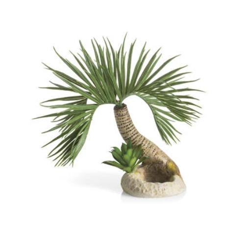 biOrb palm tree seychelles-Palmetræ ornament small. Skabt af Samuel Baker. Dimension: (LxBxH i mm) 250x260x220. 72679