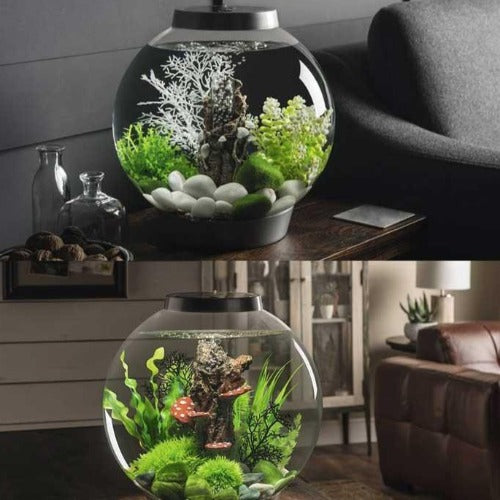 2 biOrb CLASSIC 15 l. i grå. Den ene står med ornamentet muslingeskaller på bark, samt en hvid koral og grønne planter, pyntet med hvide og mos belagte sten.  72000 72003. Den anden biOrb CLASSIC 30 l. i sort. Dekoreret med træstub med svampe ornament. Grønne planter og mos belagte sten. 72005 72008