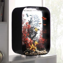 Indlæs billede til gallerivisning biOrb viftekoral LARGE, er dekoreret i en biOrb LIFE 45 l. i sort, med fisk. 46119 MCR 72057