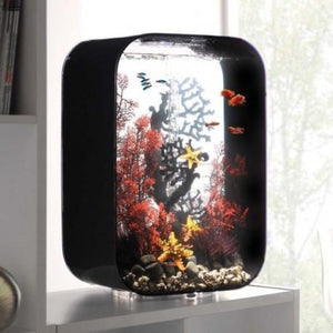biOrb viftekoral LARGE, er dekoreret i en biOrb LIFE 45 l. i sort, med fisk. 46119 MCR 72057