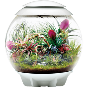 biOrb AIR terrarie i Hvid. Blomster tema. 46148