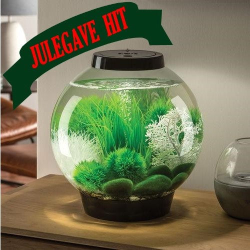 biOrb CLASSIC Kollektion