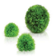 Indlæs billede til gallerivisning biOrb Aquatic topiary ball set 3 green-biOrb plante bolde sæt á 3 stk. grøn. Dimensioner (LxBxH i mm) 130x130x130. 46060