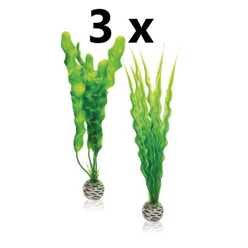 grønne planter storkøbs pakke med 3 sæt a 2 stk. af biOrb easy plantesæt