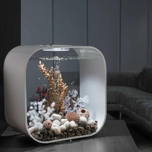 biOrb LIFE 30 l. i hvid. Står dekoreret med et søheste på koral ornament, en mørkerød og hvid koral, samt hvidt pynt. 72055  