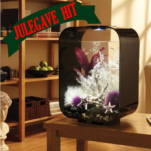 biOrb LIFE Kollektion